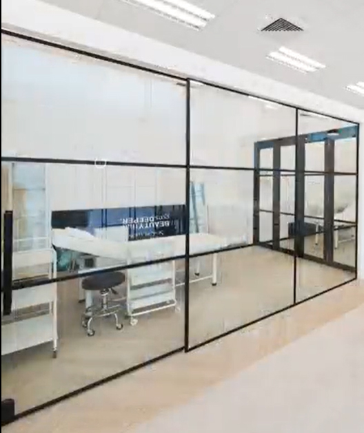 glass profiles partition